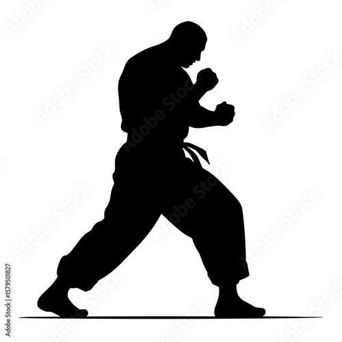 Karate fighter in motion demonstrating a defensive stance  
