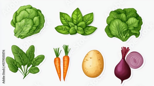 Fresh Vegetables Collection Including Leafy Greens, Carrots, Potatoes, and Onions for Healthy Eating