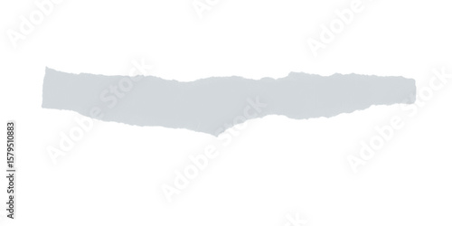 Wallpaper Mural A long rectangular shape with a textured white and gray surface against a black background space Torontodigital.ca