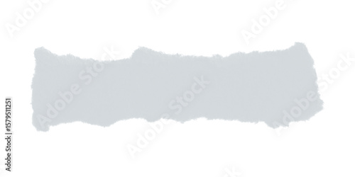 Wallpaper Mural A long rectangular shape with a white and gray speckled texture on a black background in the image Torontodigital.ca