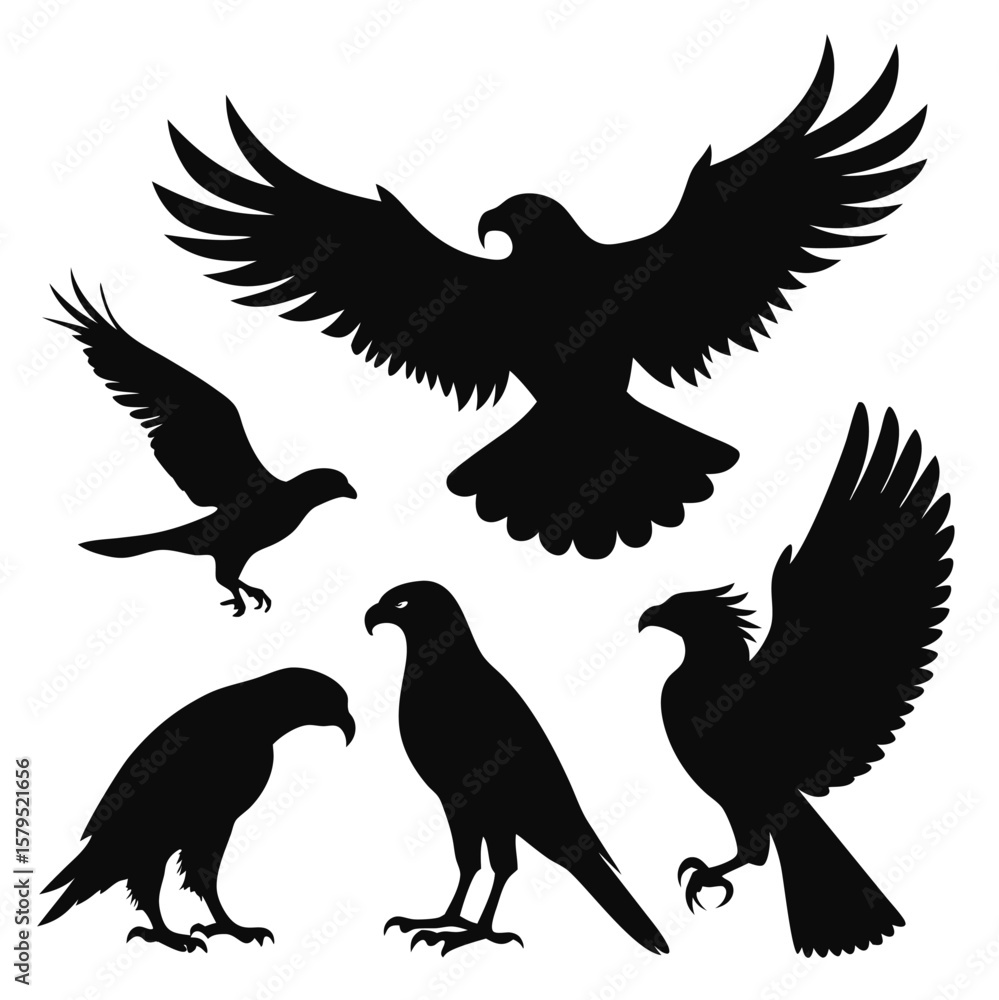 Fototapeta premium Flying Eagle and Bird of Prey Silhouette Set – Majestic Wildlife Vector Illustration 