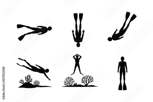 Divers swimming underwater exploring coral reefs silhouette