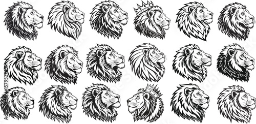 Lion black and white vector