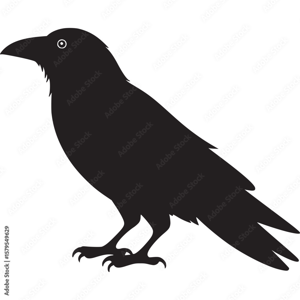 Obraz premium A silhouette of a raven standing against a white background with its wings slightly folded down on transparent background