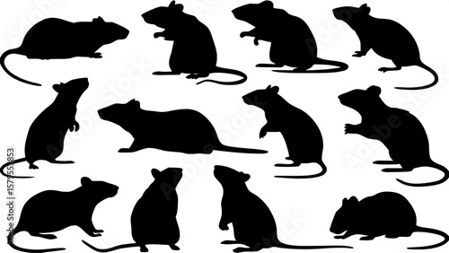 Collection of twelve stylized rat silhouettes, each one uniquely posed to depict natural rodent behavior. The images are evenly spread across a white background in a clean, modern design suitable for 