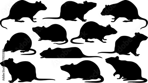 A pattern-like composition of stylized rat silhouettes in different poses, from alert and defensive to calm and resting. All silhouettes are flat black on a pure white canvas, with clean edges and con