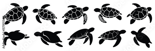 Sea turtle caretta silhouettes set, large vector pack with various turtle designs, isolated on white background