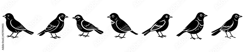 Obraz premium Seven black birds are standing in a row on white background