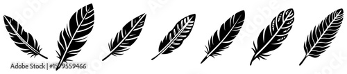 Collection of seven decorative black feathers illustrations in graphic vector design
