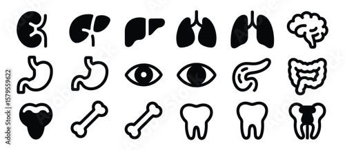 Set of Human Body Organ Icons