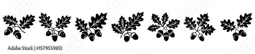 Black and white oak leaves and acorns with detailed vein design