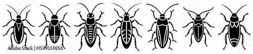 Silhouette of six different kinds of cockroaches in vector format on white