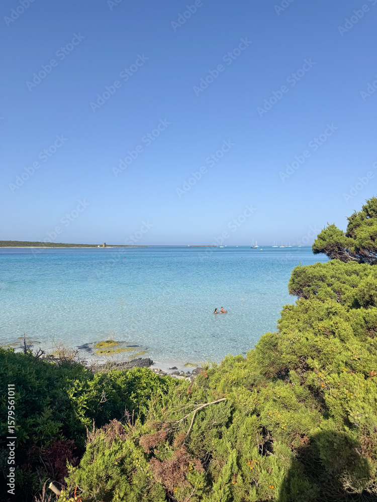 Fototapeta premium Serene Beach Scene with People Enjoying the Water La Pelosa Sardinia
