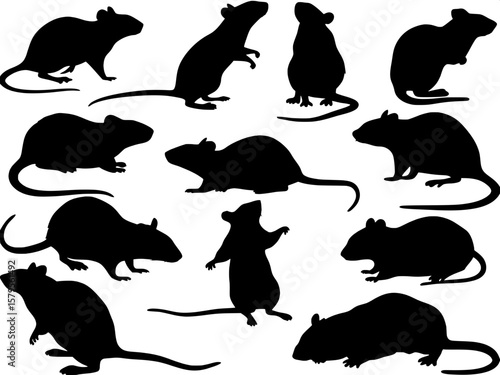 A set of twelve stylized black rat silhouette illustrations, each in a unique pose or movement, such as crouching, climbing, sniffing, or scurrying. The designs are evenly spaced across a white backgr