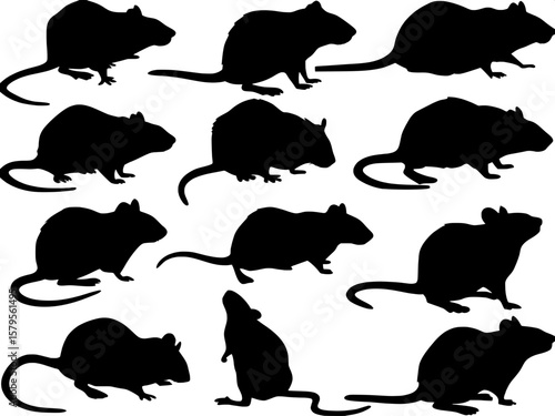 A set of twelve stylized black rat silhouette illustrations, each in a unique pose or movement, such as crouching, climbing, sniffing, or scurrying. The designs are evenly spaced across a white backgr