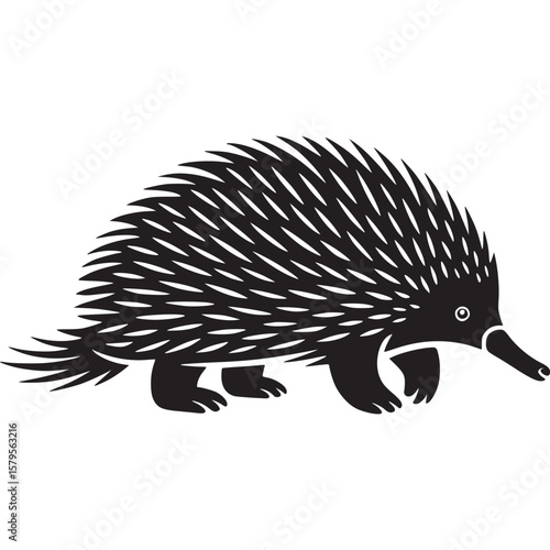 A black and white minimalist illustration of an echidna with sharp quills and a long snout walking on transparent background