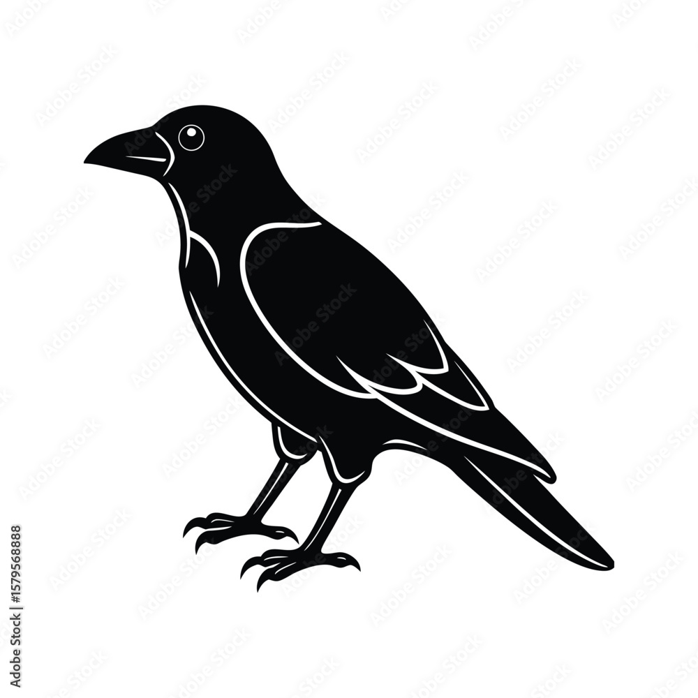 Fototapeta premium Full black crow silhouette vector illustration on white background