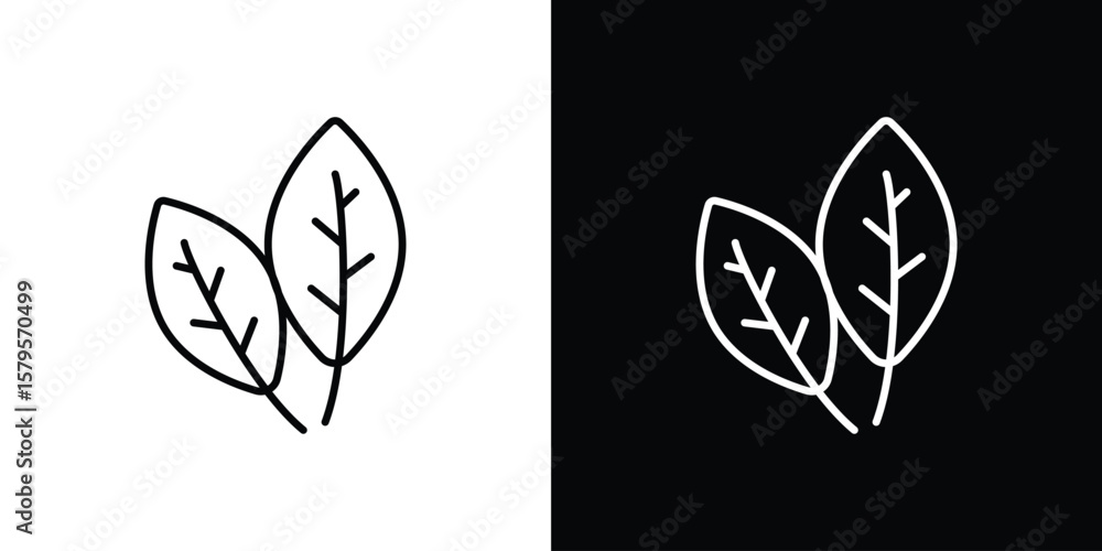 Basil icon Basil icon