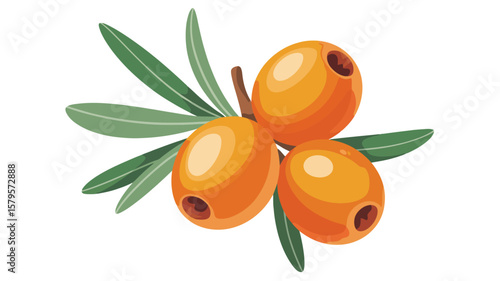 Illustration of three ripe orange sea buckthorn berries on a branch with green leaves