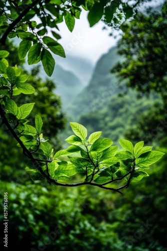 Lush Green Foliage Framed by Misty Mountains at Dawn in a Tranquil Forest Set...