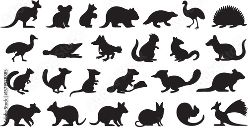 Australian animals silhouettes kangaroo koala