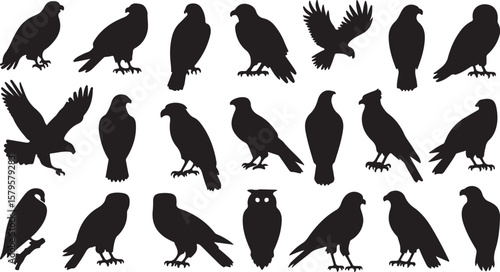 Diverse raptor silhouettes in various poses eagle hawk