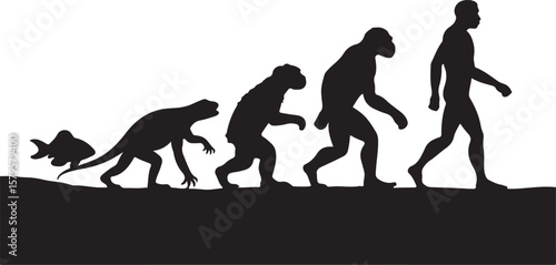 Fish amphibian ape man evolution progression vector