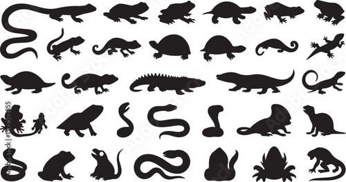 Reptile and amphibian silhouettes lizard frog