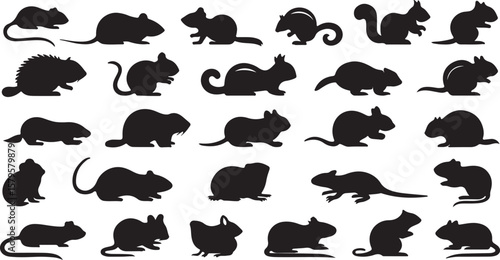 Rodent silhouettes various poses mouse squirrel