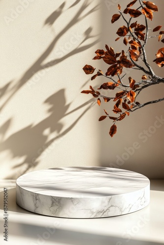 Elegant Display of a Marble Plate With Dried Leaves in Soft Sunlight Within a...
