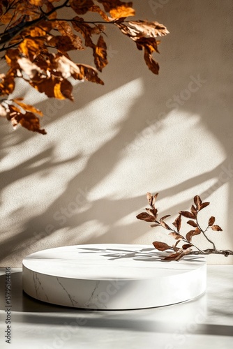 Elegant Marble Display With Autumn Leaves Casting Shadows in Soft Light