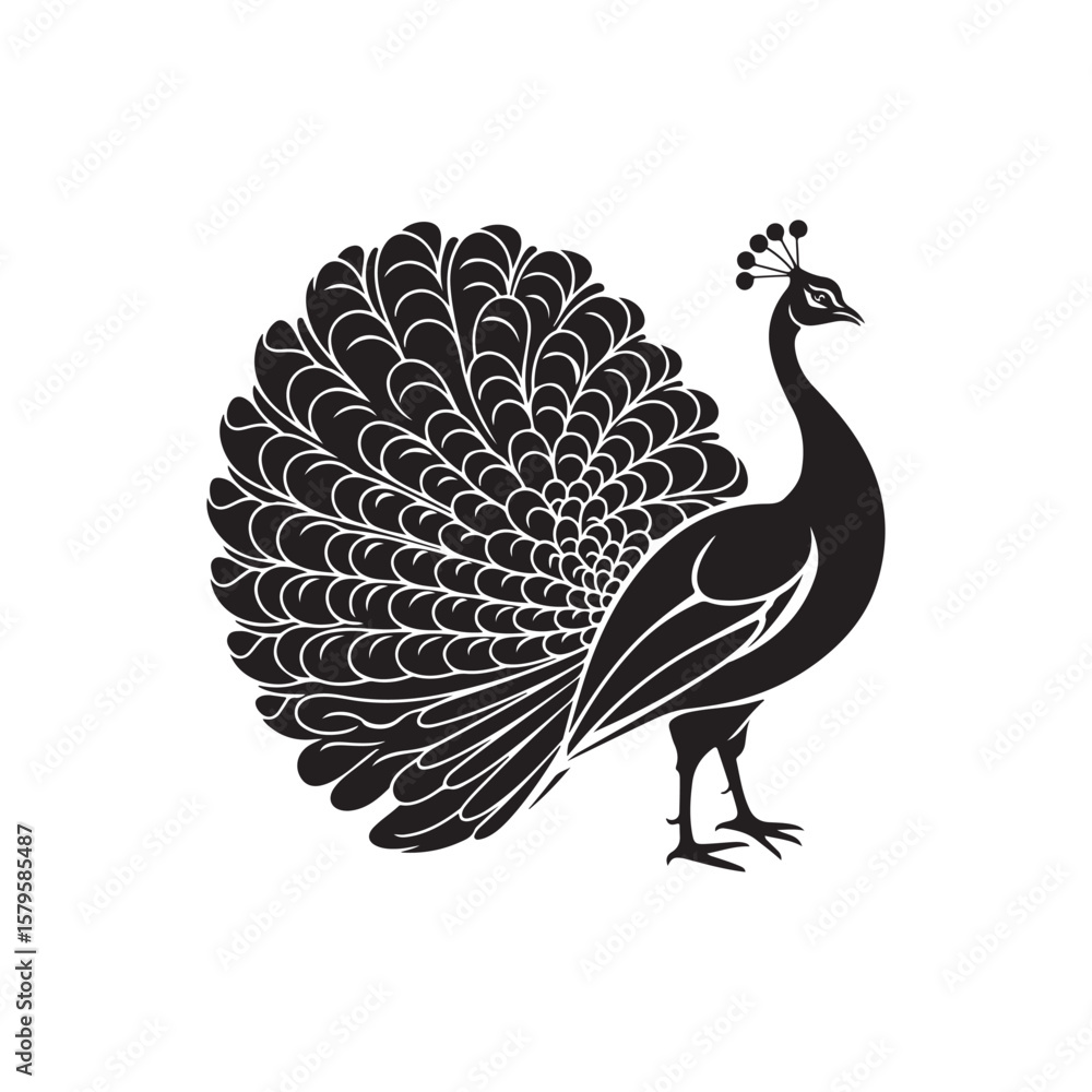 Fototapeta premium Stylish black silhouette of a peacock with detailed feathers - Elegant Black Bird Illustration for Logo, Decoration, and Art Design