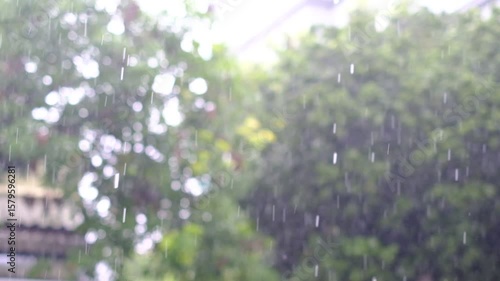 Wallpaper Mural Rain falling on trees and a building. The rain is coming down in a steady stream, creating a peaceful and calming atmosphere. The trees are lush and green, and the building is a mix of old Torontodigital.ca