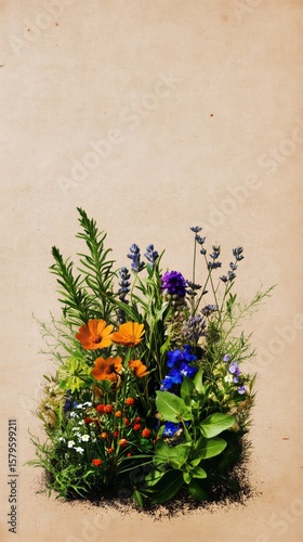 Bright Wildflowers Bloom in a Natural Arrangement on a Textured Background