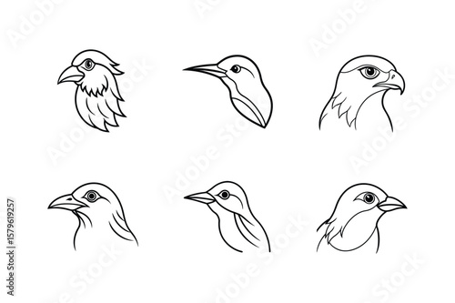 Bird head line art set. warbler, treecreeper, thrush, goshawk, bee eater and barbet bird vector illustration.