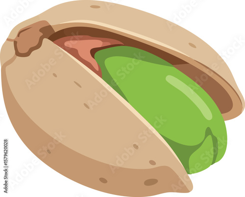 Pistachio nut vector illustration with open shell and green kernel isolated on white background natural food snack design