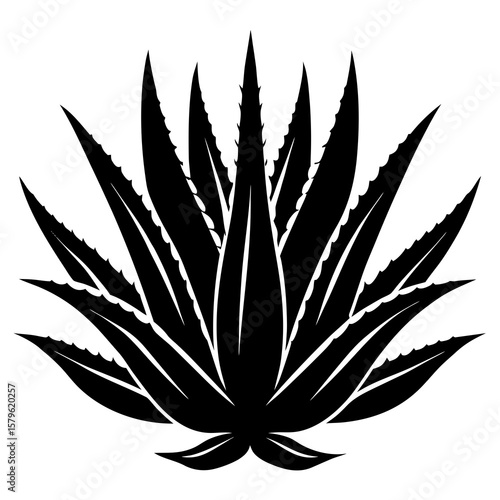Aloe vera vector, a modern aloe vera art design, a black vector of a aloe vera, a simple aloe vera art, an aloe vera isolated