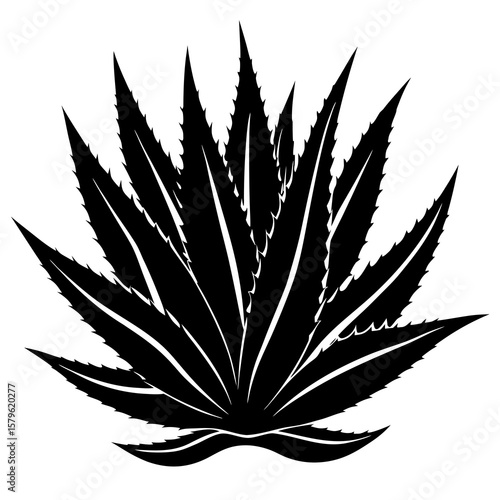 Aloe vera vector, a modern aloe vera art design, a black vector of a aloe vera, a simple aloe vera art, an aloe vera isolated