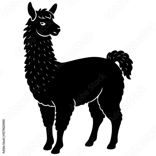 Alpaca vector, a modern alpaca art design, a black vector of an alpaca, a simple alpaca art, an alpaca isolated