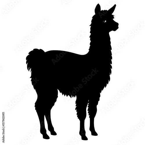 Alpaca vector, a modern alpaca art design, a black vector of an alpaca, a simple alpaca art, an alpaca isolated