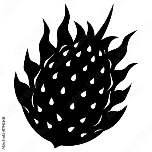 A dragon fruit vector, a dragon fruit design, a vector of a dragon fruit, simple dragon fruit art, a dragon fruit icon symbol isolated