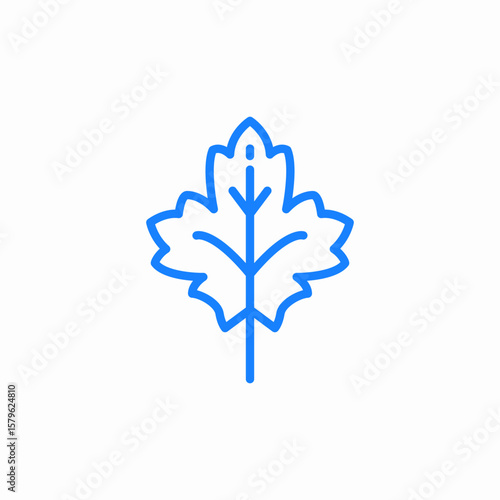 autumn leaf icon sign vector