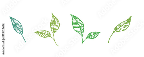 緑の線画の葉っぱのイラスト