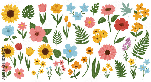 Colorful spring floral element collection illustration isolated on white background