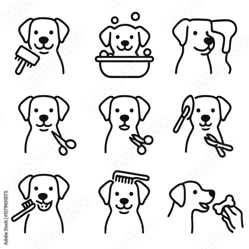 Brushing steps rewarding nail bathing icons teeth trimming vector ear grooming icon