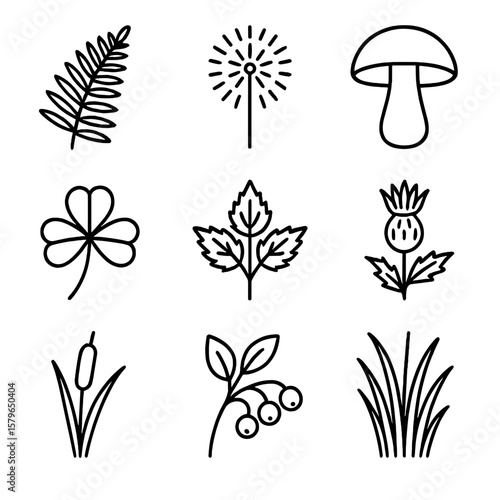 Plants tall mushroom dandelion vector nettle flower thistle wild leaves icon stem