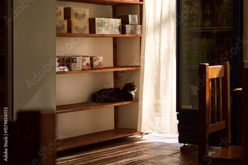 a cat lying on shelves next to products in a small business