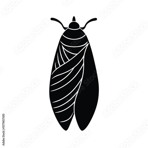 vector illustration of a pupa