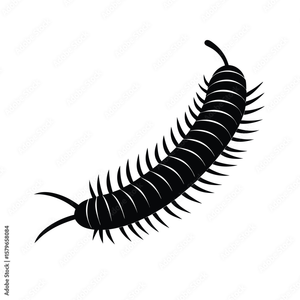 Obraz premium vector illustration of a silhouette of a millipede