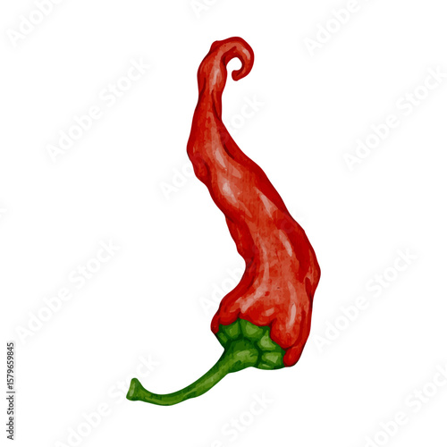 Colorful ripe hot chili pepper pod.Vector graphics.